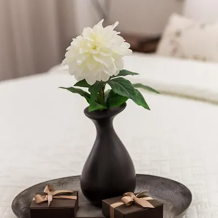 Ola Luxury * Опатия