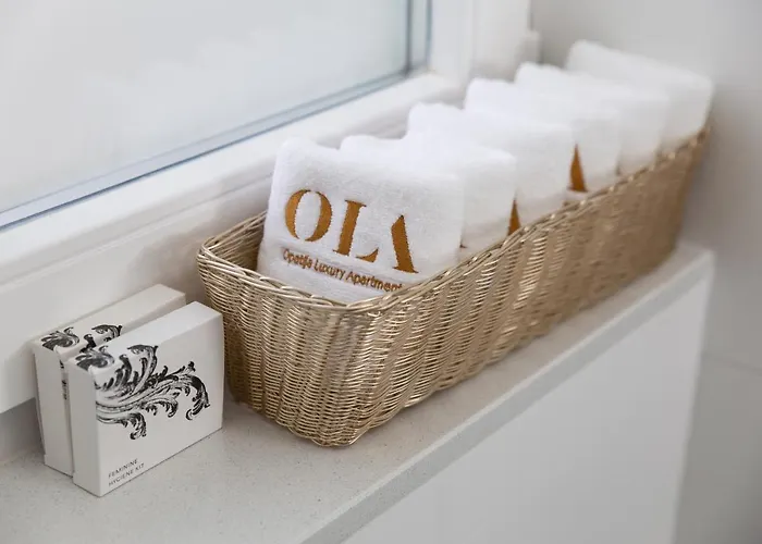 Ola Luxury Apartment *
